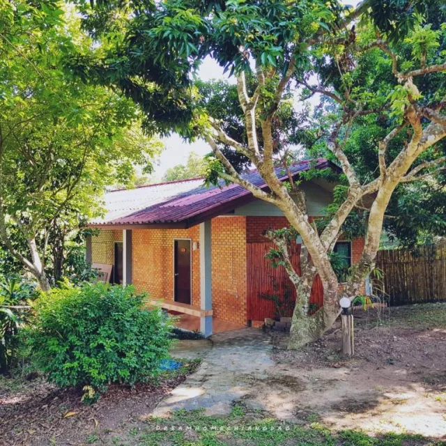 Dreamhome Chiangdao รูปที่ 4