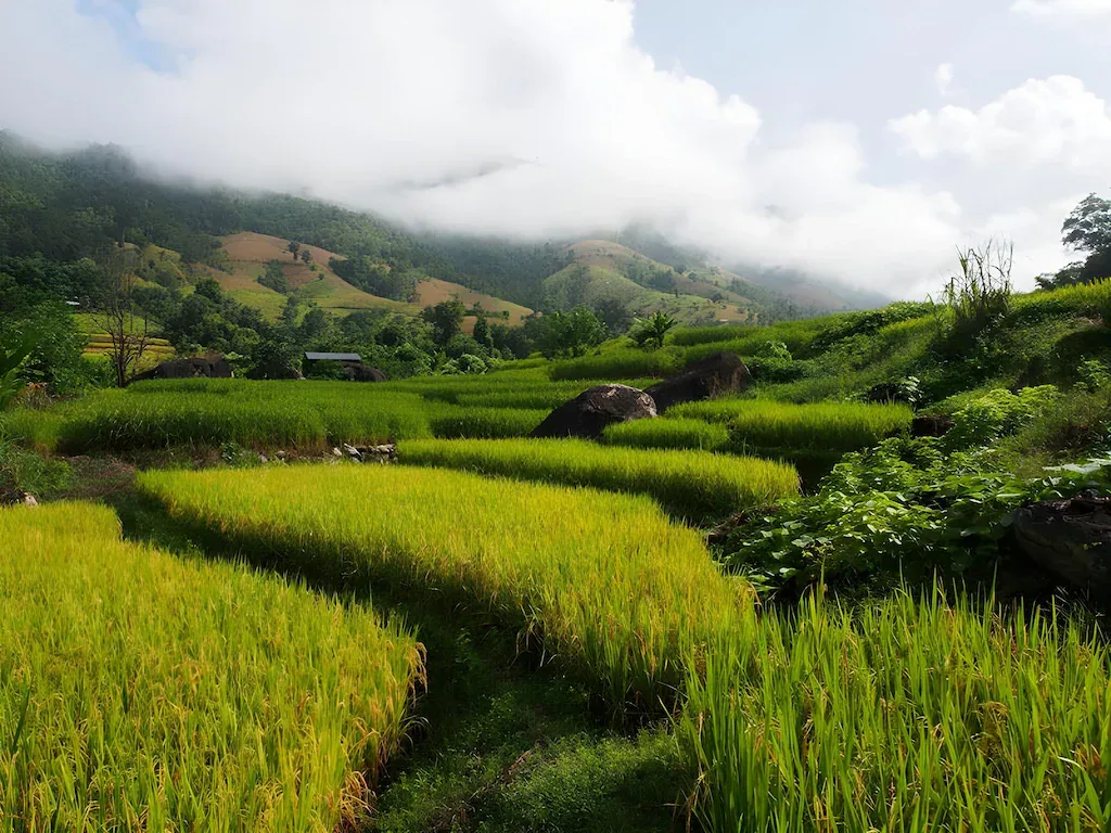 Kowit Maechaem Farmstay รูปที่ 1