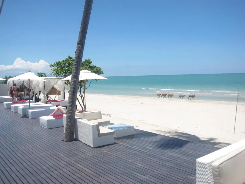 Aava Resort & Spa รูปที่ 1