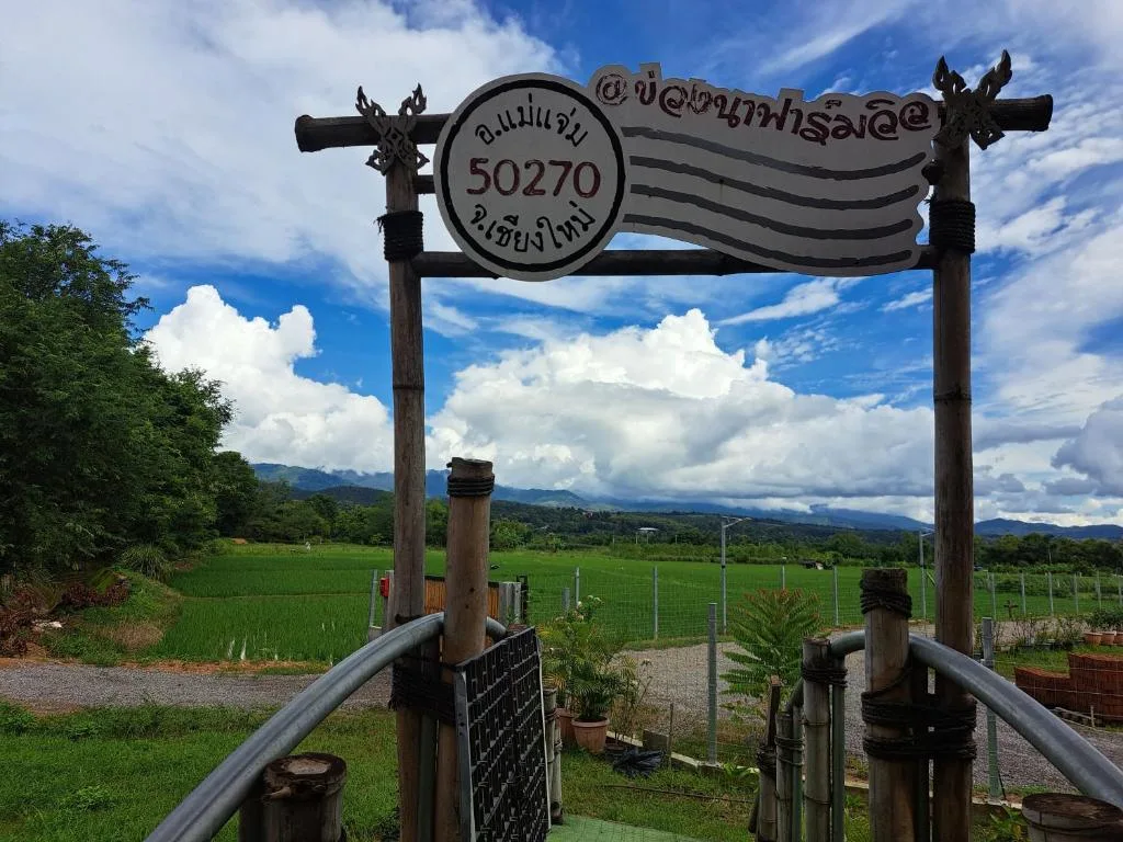 Khuang Na Farmview รูปที่ 4
