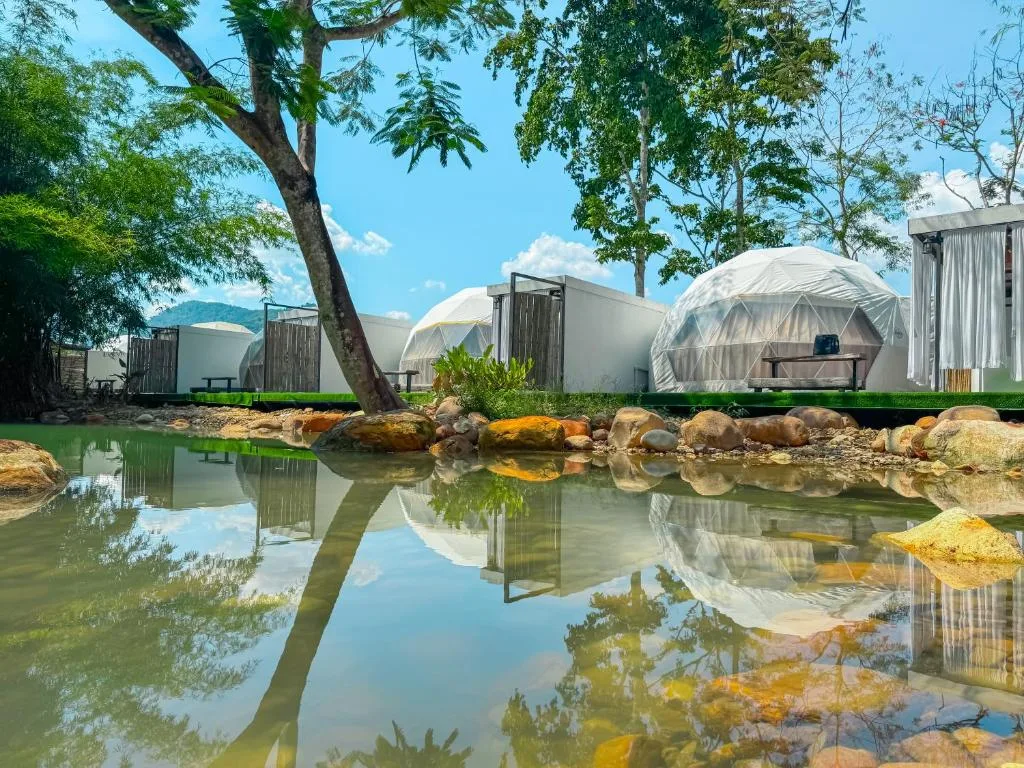 The Chamuang Forest รูปที่ 4