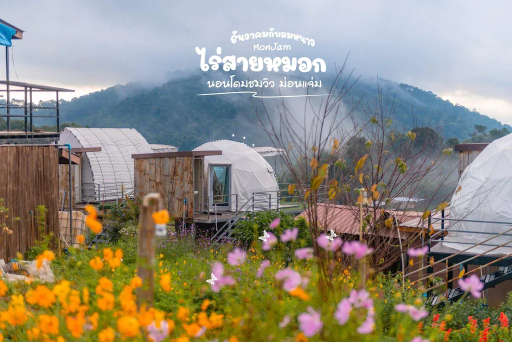 Rai Sai Mok รูปที่ 3
