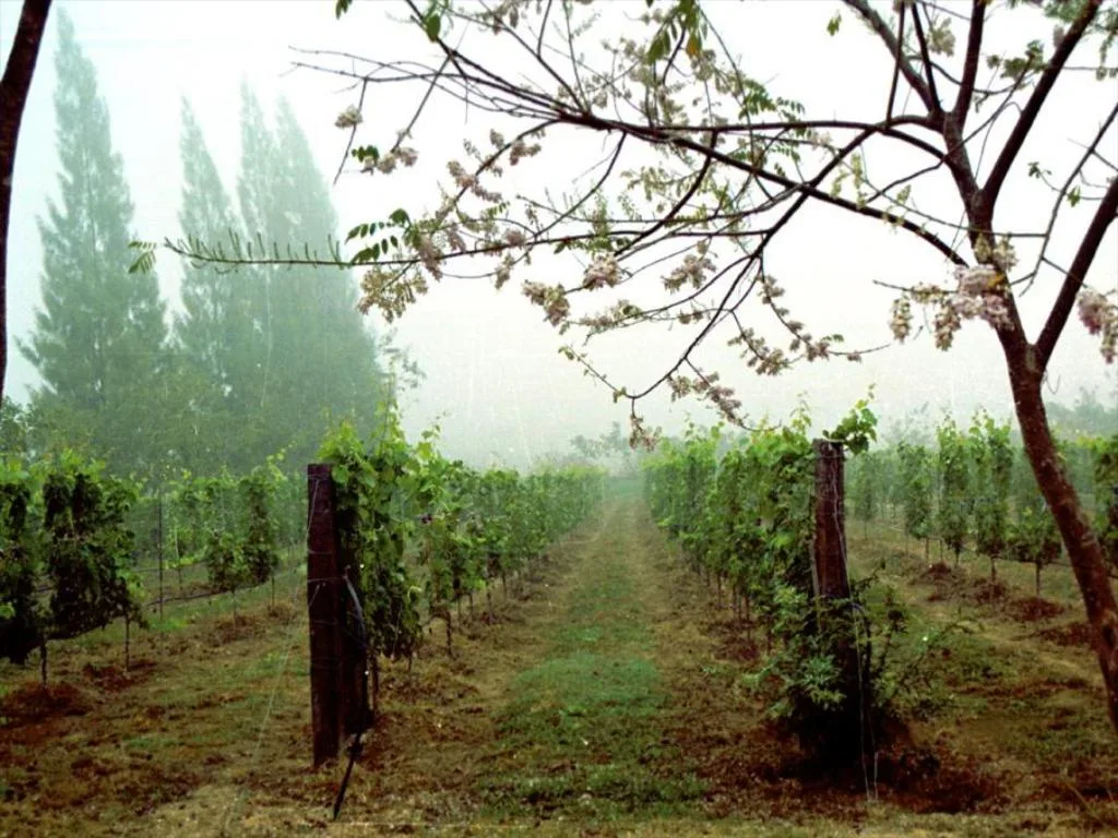 Village Farm & Winery รูปที่ 3